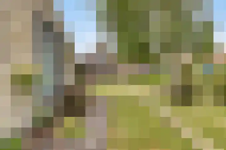 Lange Reke 24 Renesse thumbnail 26