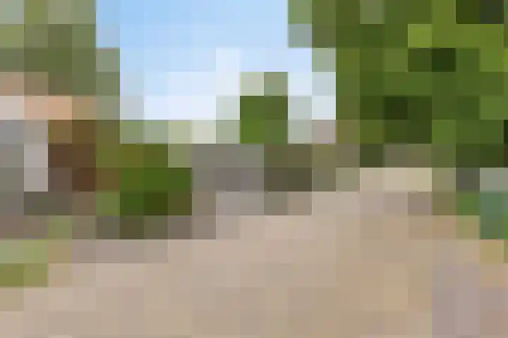 Lange Reke 24 Renesse thumbnail 28