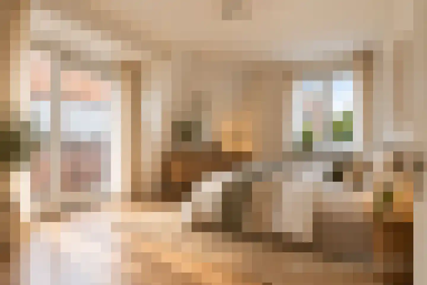 Lange Reke 34 Renesse thumbnail 25