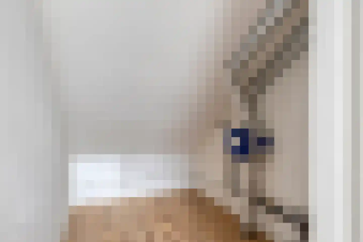 Lange Reke 34 Renesse thumbnail 33