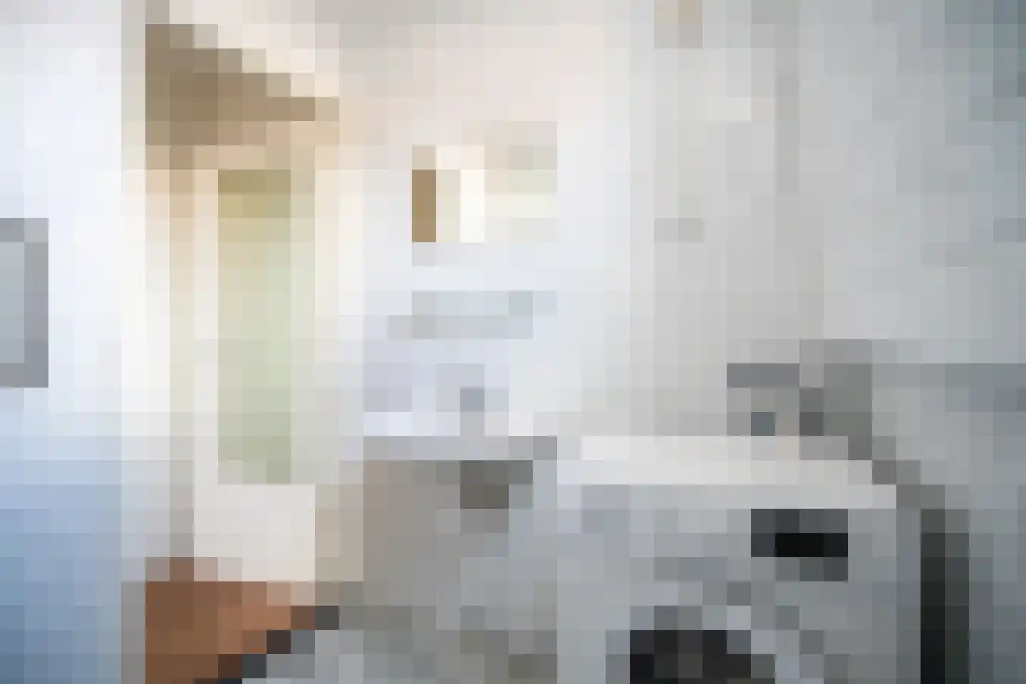 Lange Scheistraat 4 A Leiden thumbnail 21