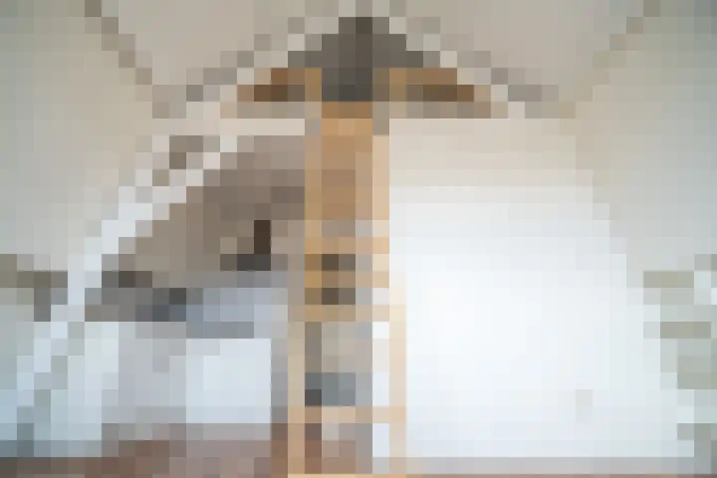 Lange Scheistraat 4 A Leiden thumbnail 4