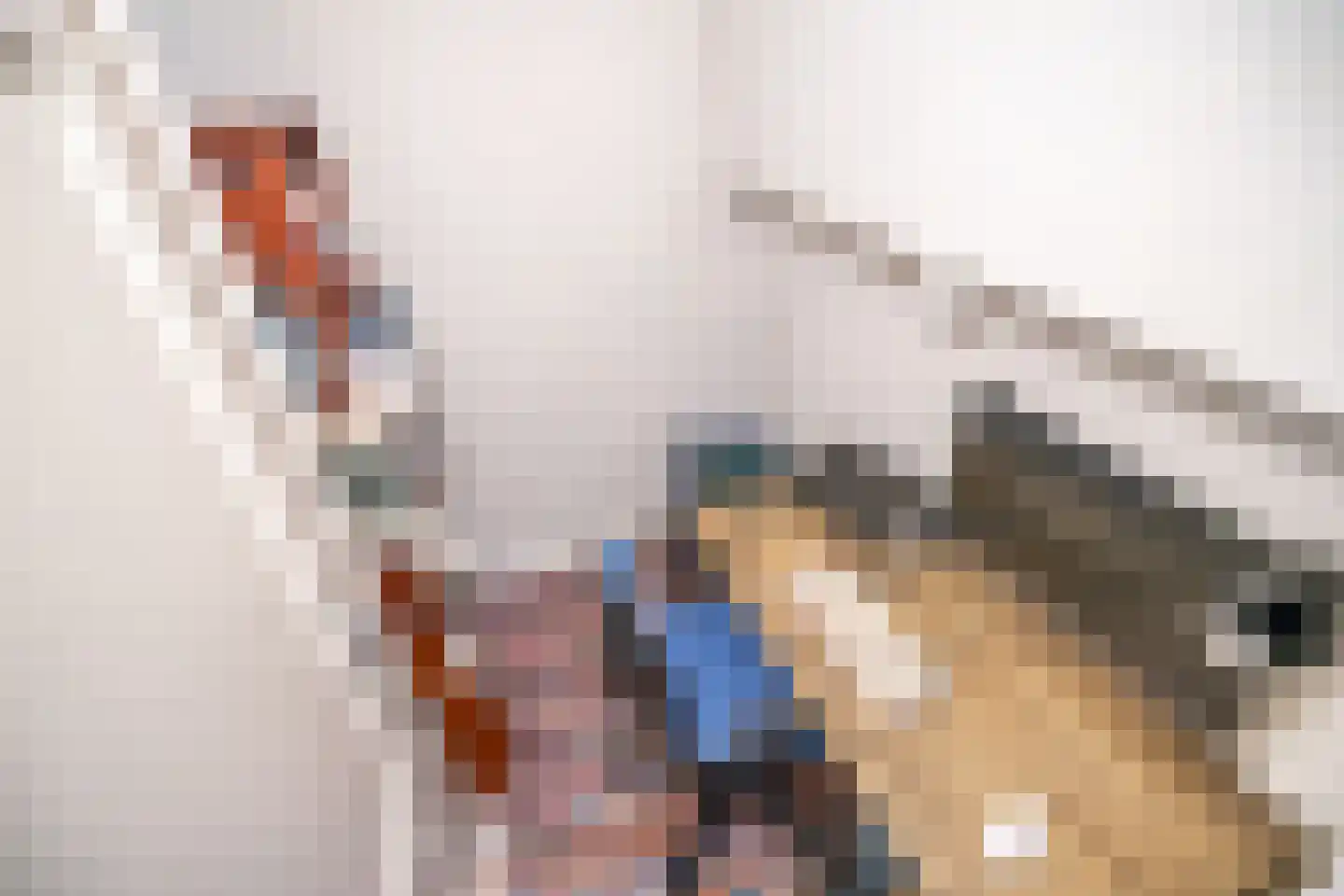 Lange Scheistraat 4 B Leiden thumbnail 4