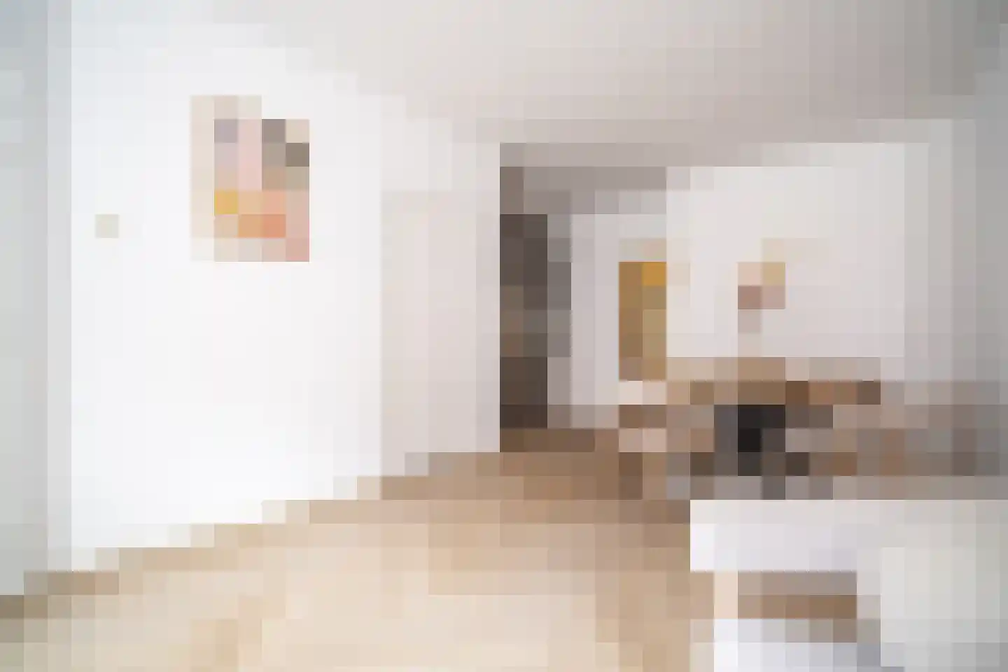 Lange Scheistraat 4 Leiden thumbnail 4
