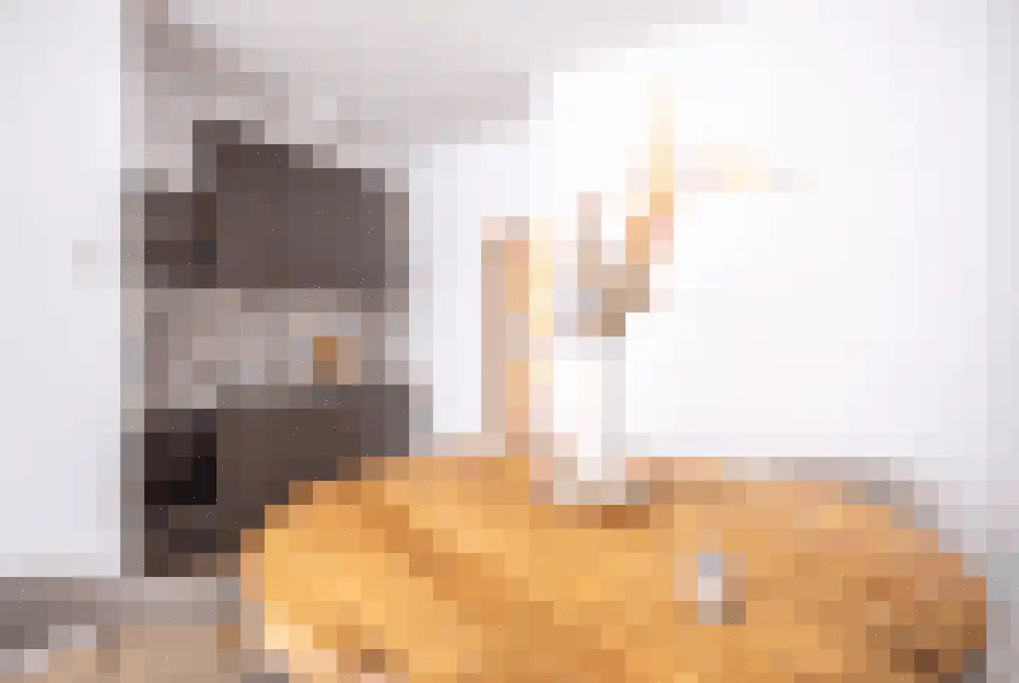 Lange Scheistraat 4 Leiden thumbnail 6