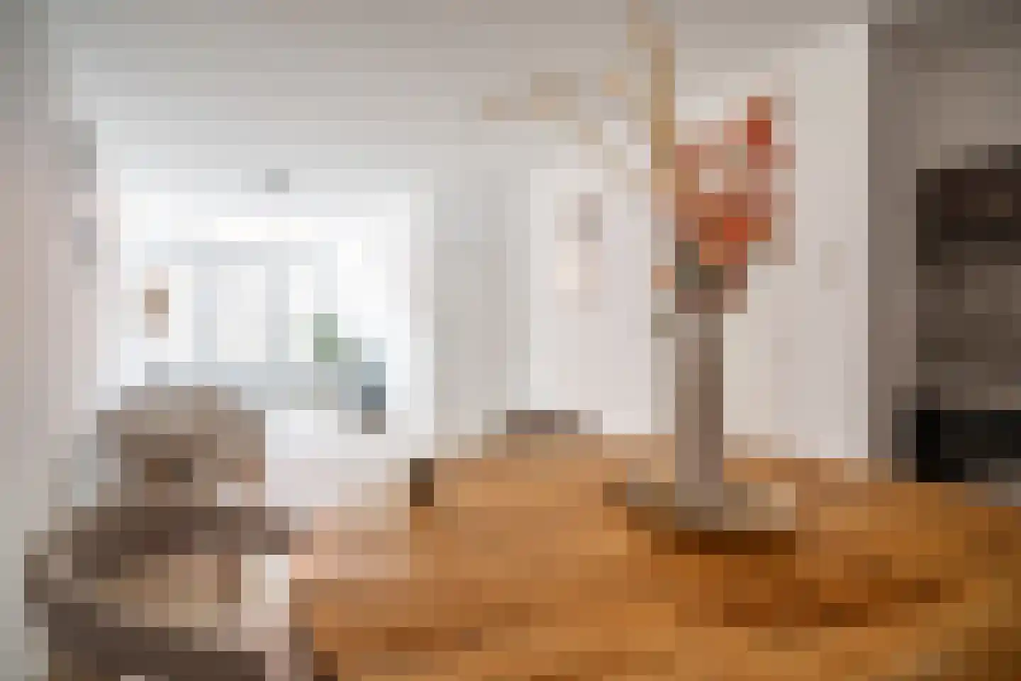 Lange Scheistraat 4 Leiden thumbnail 9