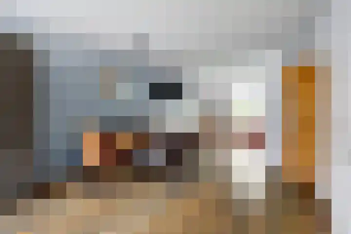 Lange Schoolstraat 3 Sint Hubert thumbnail 19