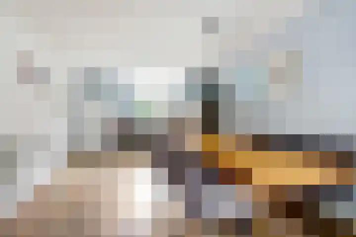 Lange Schoolstraat 3 Sint Hubert thumbnail 21