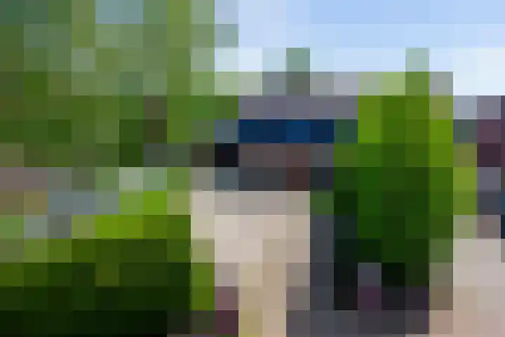 Lange Schoolstraat 3 Sint Hubert thumbnail 5