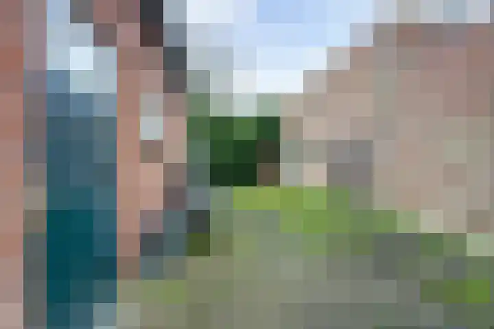 Lange Schoolstraat 3 Sint Hubert thumbnail 63