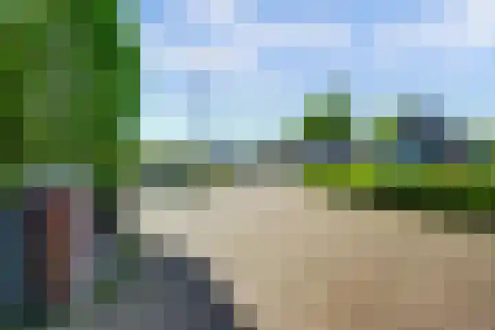 Lange Schoolstraat 3 Sint Hubert thumbnail 8