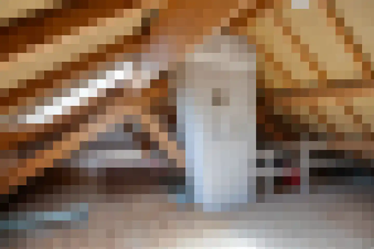 Lange Schoolstraat 57 Sint Hubert thumbnail 38
