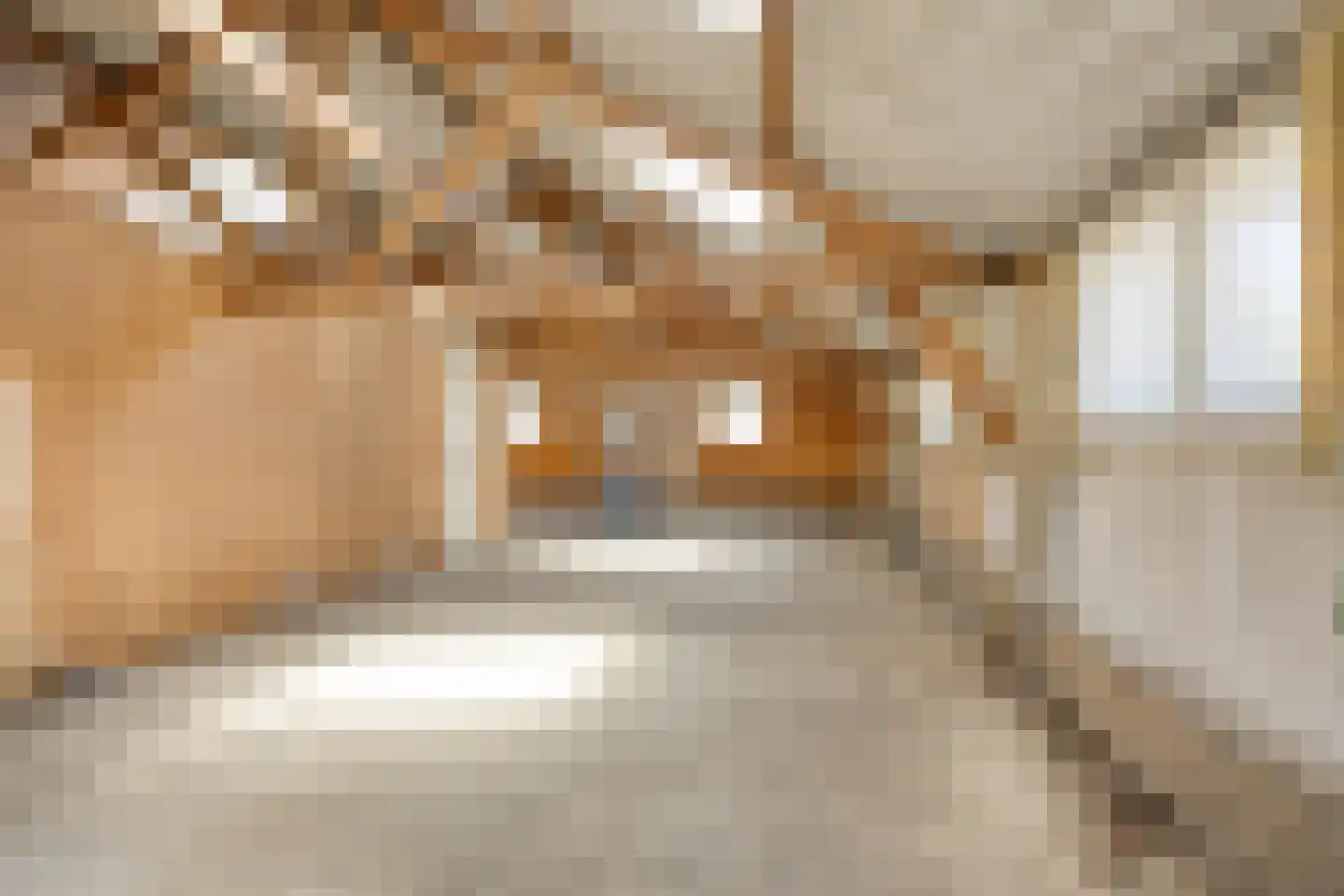Lange Schoolstraat 57 Sint Hubert thumbnail 47