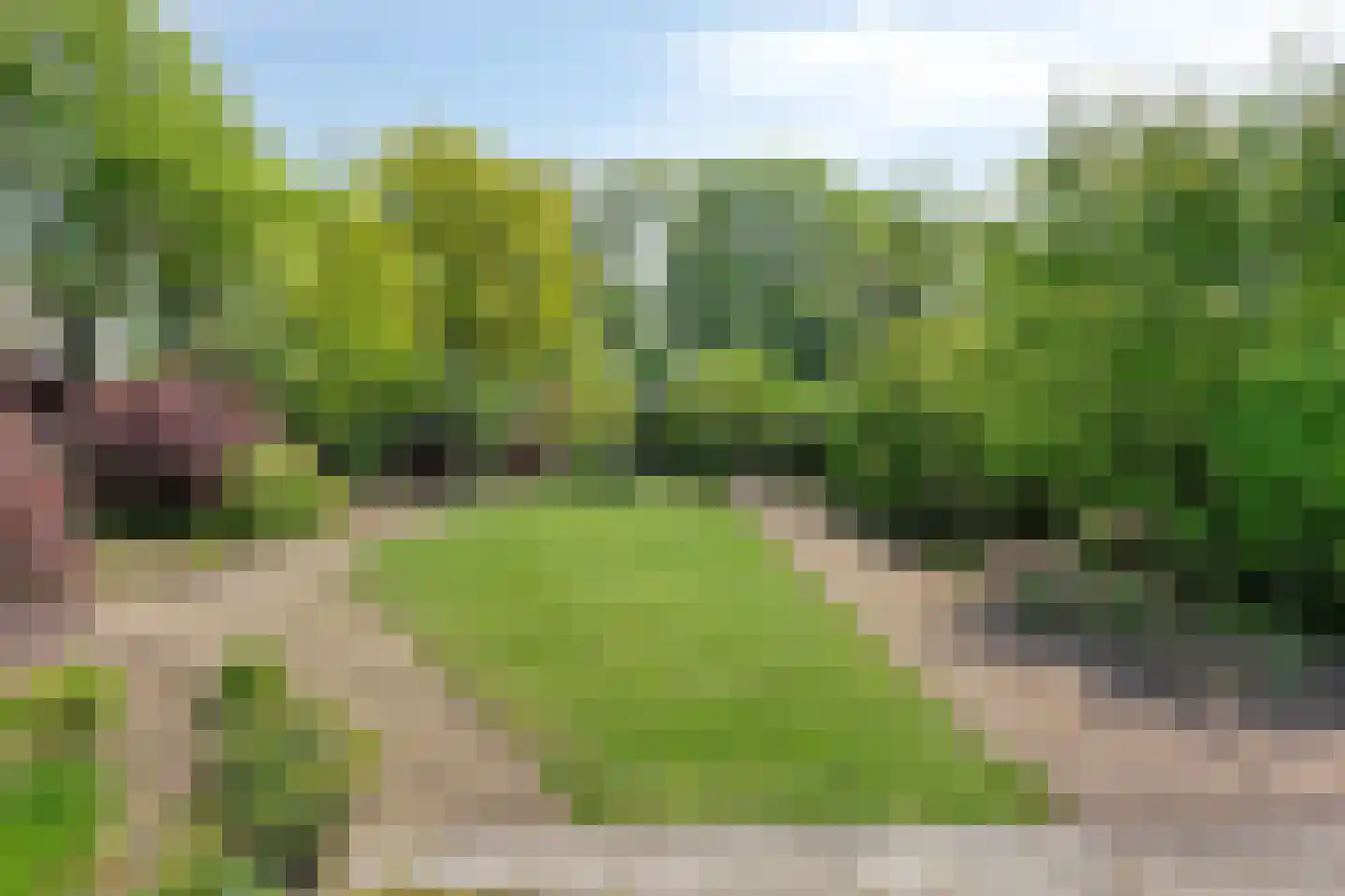 Lange Schoolstraat 57 Sint Hubert thumbnail 56