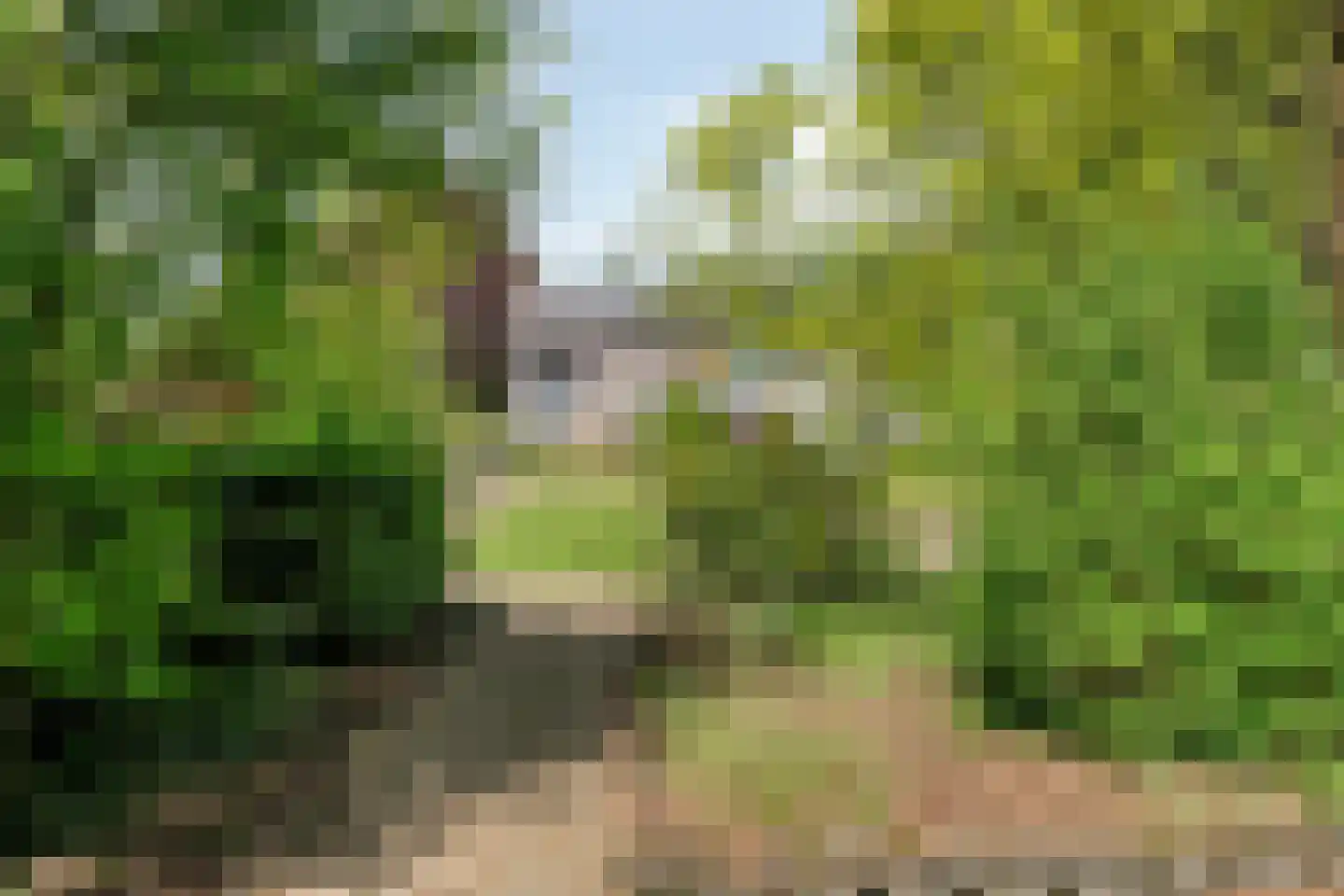 Lange Schoolstraat 57 Sint Hubert thumbnail 62