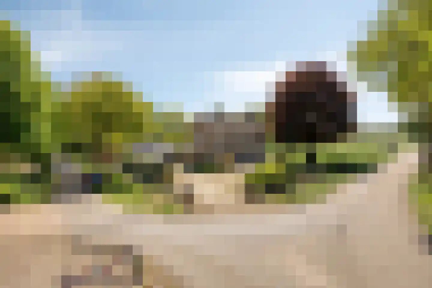 Lange Schoolstraat 57 Sint Hubert thumbnail 64