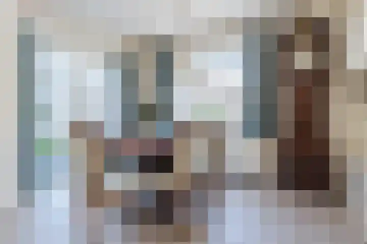 Lange Schoor 12 Hapert thumbnail 12