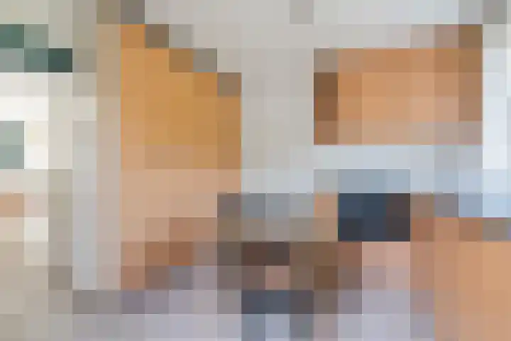 Lange Schoor 12 Hapert thumbnail 15