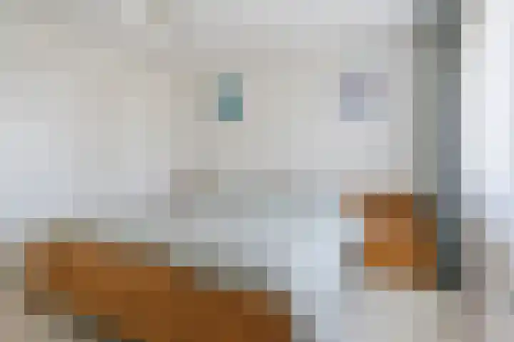 Lange Schoor 12 Hapert thumbnail 18