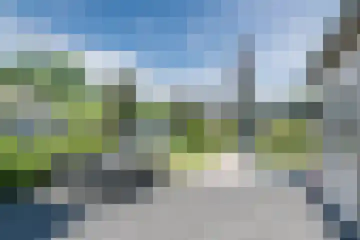 Lange Schoor 12 Hapert thumbnail 21