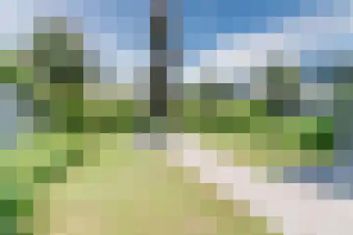 Lange Schoor 12 Hapert thumbnail 22