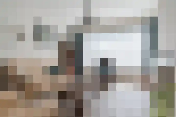 Lange Schoor 12 Hapert thumbnail 8