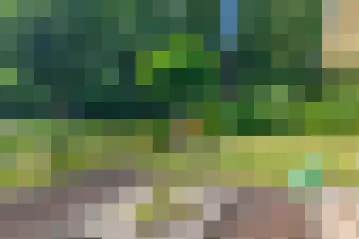 Lange Singel 24 Bakkeveen thumbnail 16