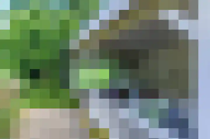 Lange Singel 24 Bakkeveen thumbnail 17