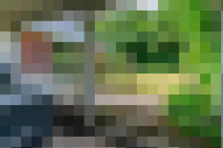 Lange Singel 24 Bakkeveen thumbnail 20