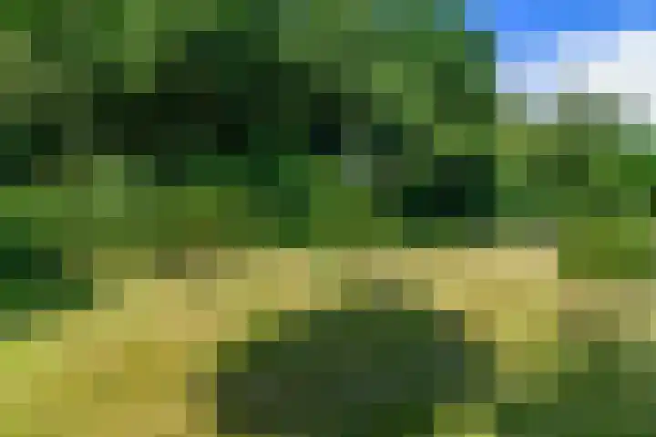 Lange Singel 24 Bakkeveen thumbnail 25