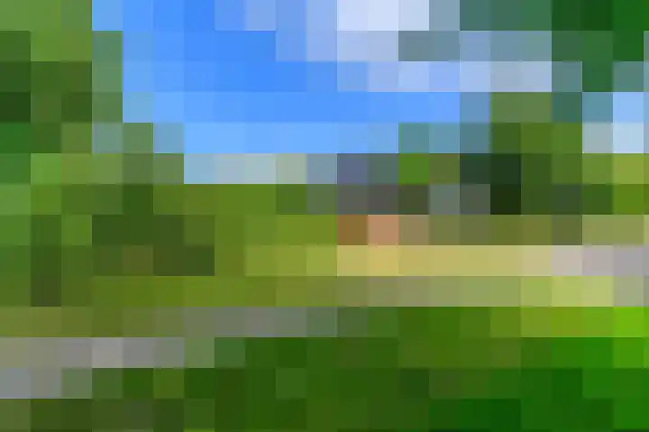 Lange Singel 24 Bakkeveen thumbnail 27