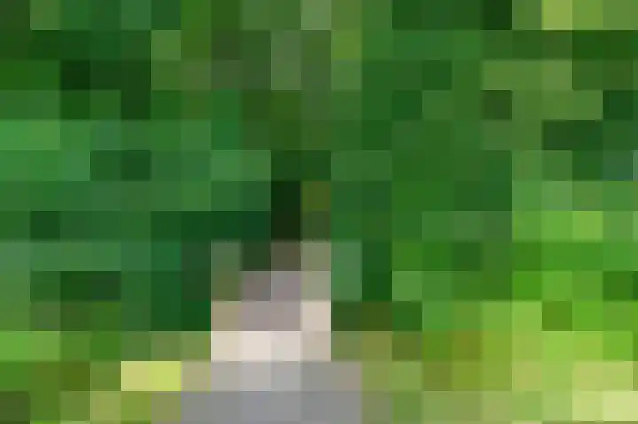 Lange Singel 24 Bakkeveen thumbnail 28