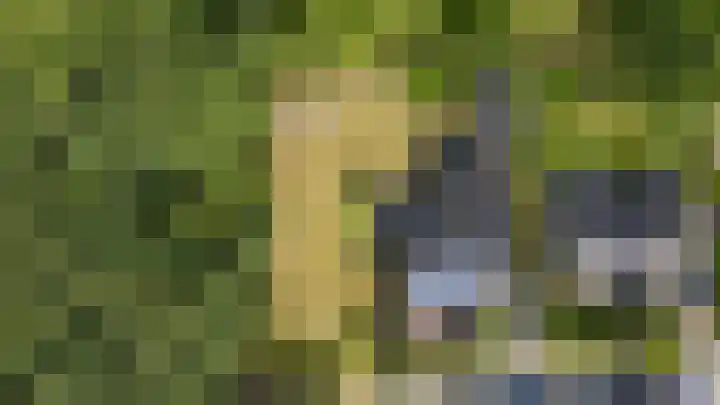 Lange Singel 24 Bakkeveen thumbnail 31