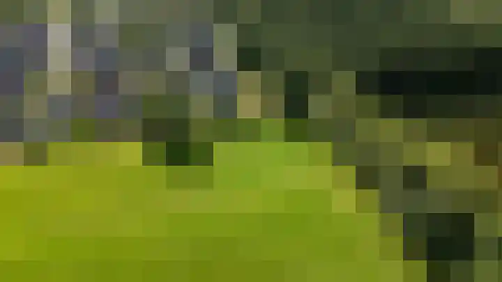 Lange Singel 24 Bakkeveen thumbnail 32