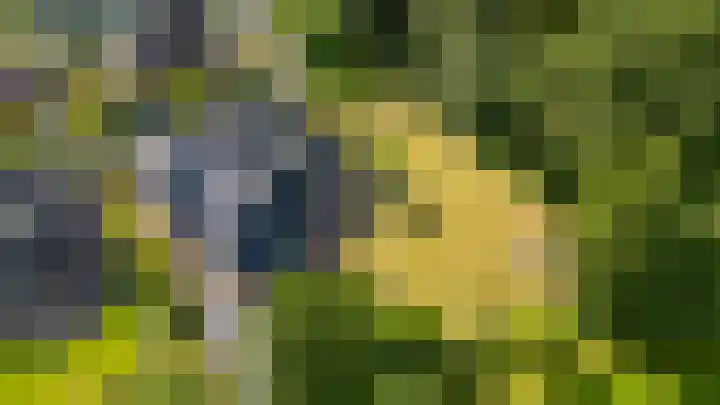 Lange Singel 24 Bakkeveen thumbnail 33