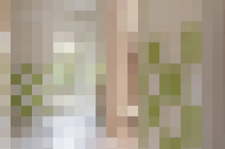 Lange Singel 24 Bakkeveen thumbnail 55