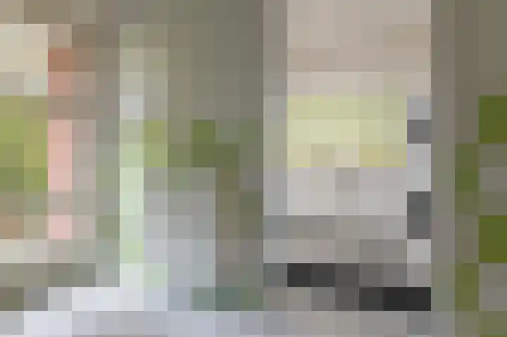 Lange Singel 24 Bakkeveen thumbnail 56