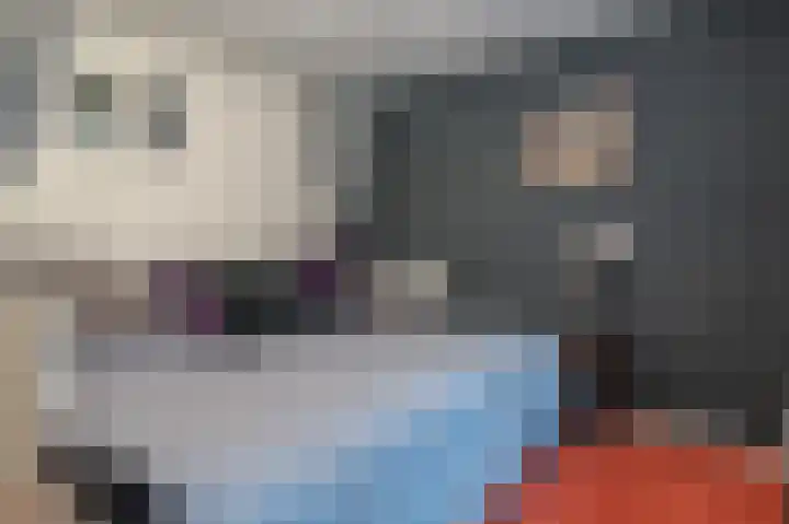 Lange Singel 24 Bakkeveen thumbnail 85