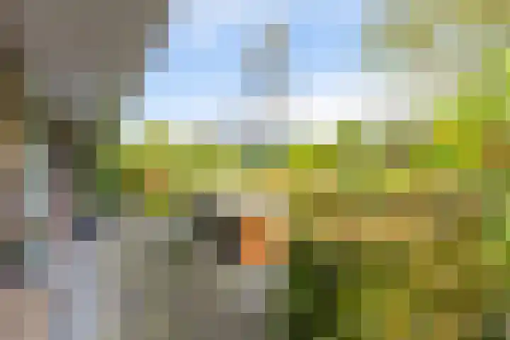 Lange Singel 27 Bakkeveen thumbnail 15
