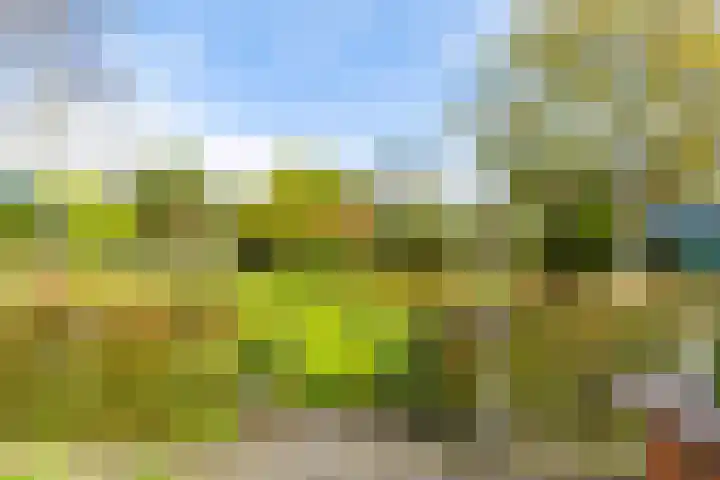 Lange Singel 27 Bakkeveen thumbnail 16