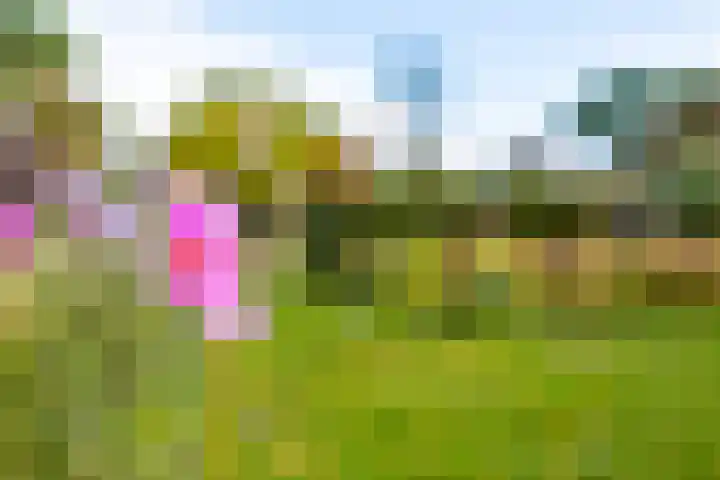 Lange Singel 27 Bakkeveen thumbnail 21