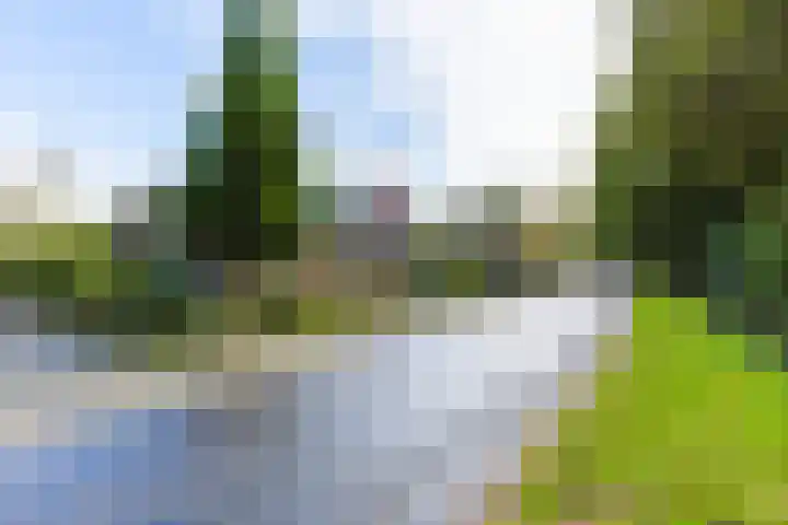 Lange Singel 27 Bakkeveen thumbnail 25