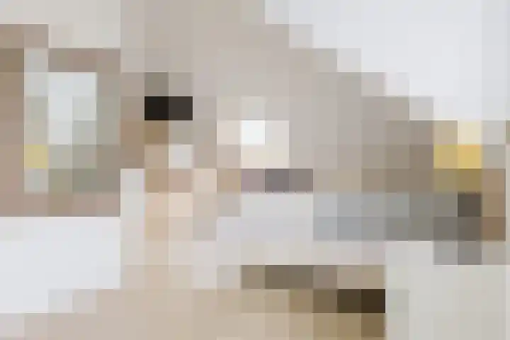 Lange Singel 27 Bakkeveen thumbnail 58