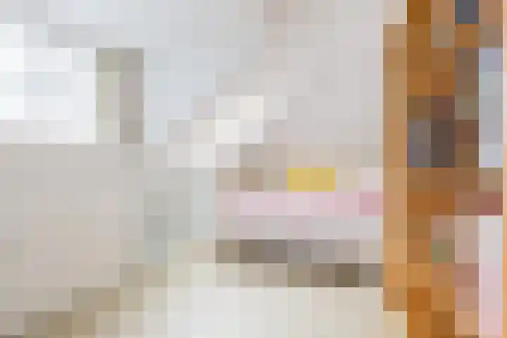 Lange Singel 27 Bakkeveen thumbnail 64
