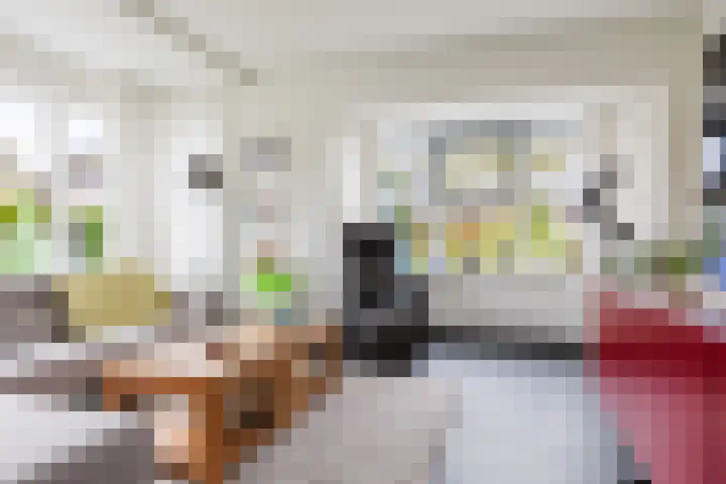 Lange Singel 4 Bakkeveen thumbnail 28