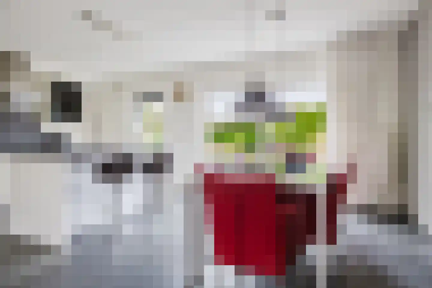 Lange Singel 4 Bakkeveen thumbnail 32