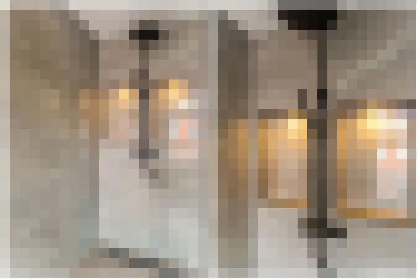 Lange Singelstraat 102 B Schiedam thumbnail 24