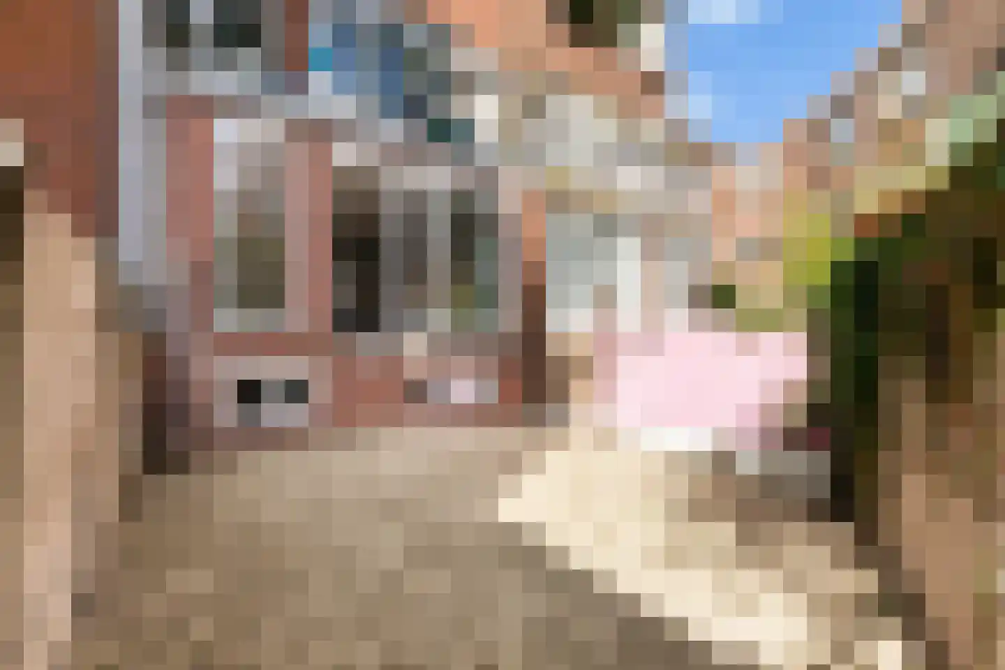 Lange Singelstraat 95 A Schiedam thumbnail 17
