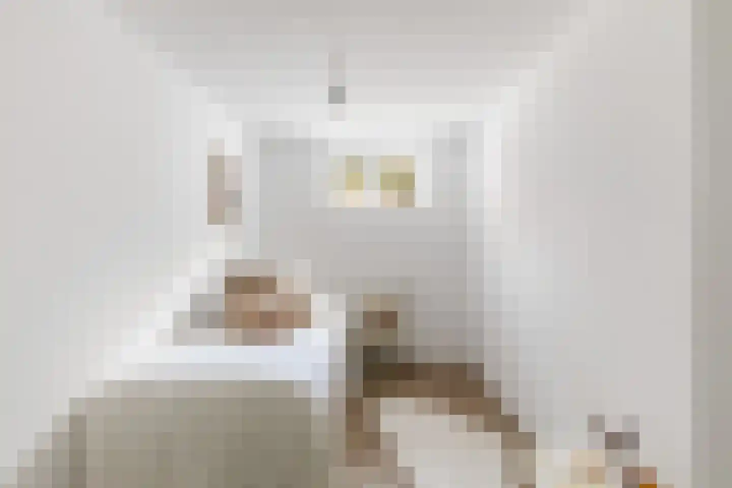 Lange Singelstraat 95 A Schiedam thumbnail 27