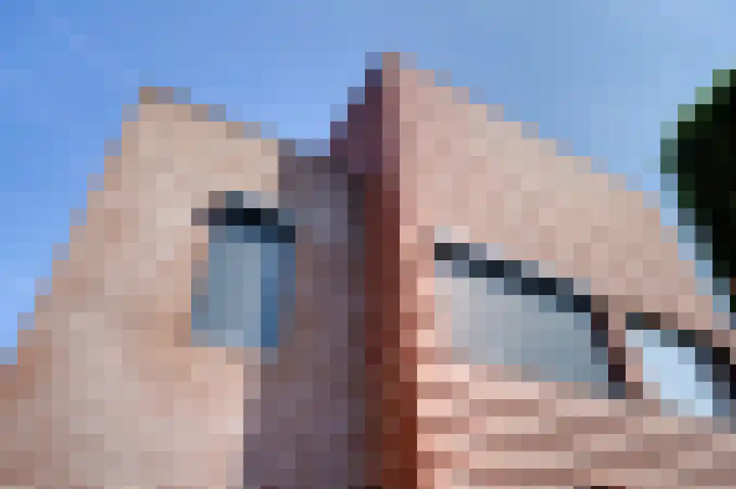 Lange Sissen 29 Appingedam thumbnail 22